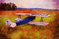 417027 Fleet Model 2, 1930, Schellville, CA A4 Limited Edition Watercolour Print