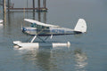 417032 Republic Seabee, 1947, Clearlake, CA A4 Photo Print