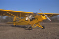 417040 Piper Super Cub, 1952, Weatherford, TX A4 Photo Print