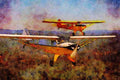 417055 Taylorcraft BC 12D, 1945, Georgetown, CA A4 Limited Edition Watercolour Print