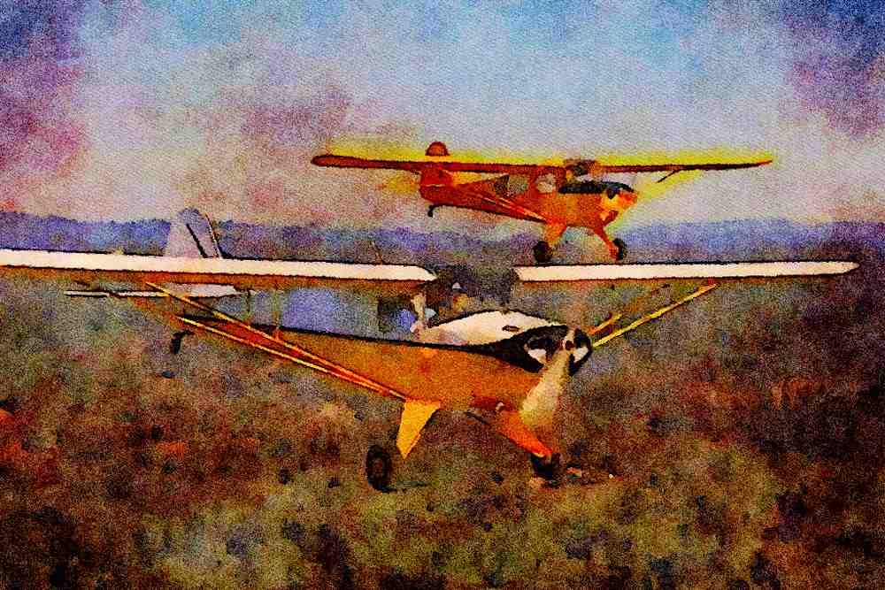 417055 Taylorcraft BC 12D, 1945, Georgetown, CA A4 Limited Edition Watercolour Print