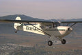 417059 Taylorcraft F 21, 1984, Sonoma, CA A4 Photo Print