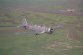417094 Yak 18, 1954, Schellville, CA A4 Photo Print
