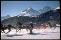 418005 Horse Skiing On The Lake A4 Photo Print