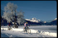 418024 Winter Mountain Biking A4 Photo Print
