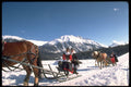 418025 Costumes And Sledging A4 Photo Print