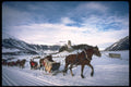 418028 Procession Of Old Sleds A4 Photo Print