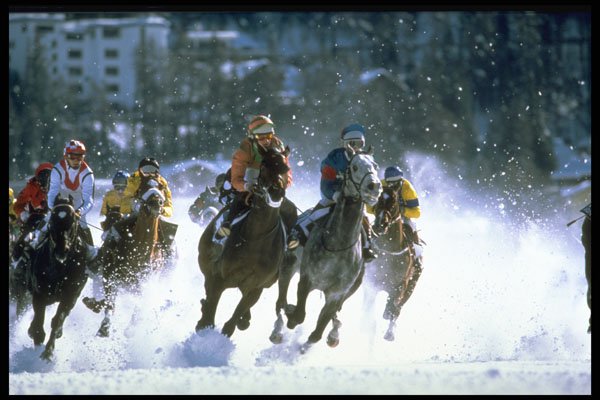418030 Full Gallop A4 Photo Print