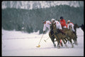 418042 Winter Polo A4 Photo Print