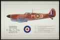 419002 Supermarine Spitfire F. Mk. Vc Trop A4 Photo Print