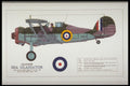 419007 Gloster Sea Gladiator A4 Photo Print