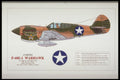 419039 Curtiss P 40 E 1 Warhawk A4 Photo Print