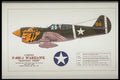 419042 Curtiss P 40E 1 Warhawk Aleutian Tiger  A4 Photo Print