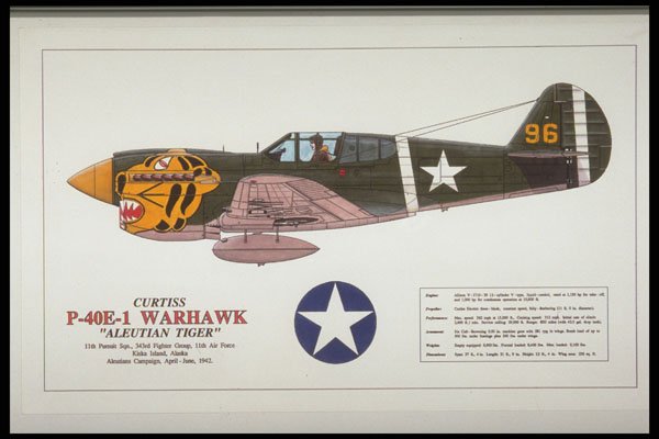 419042 Curtiss P 40E 1 Warhawk Aleutian Tiger  A4 Photo Print