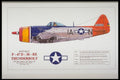 419045 Republic P 47D 30 RE Thunderbolt A4 Photo Print