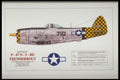 419049 Republic P 47 N 5 RE Thunderbolt A4 Photo Print