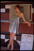420071 Brandy In A Short Silver Dress At A Hot Dog Truck A4 Photo Print