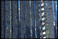 421004 Reflections In Glass Building A4 Photo Print