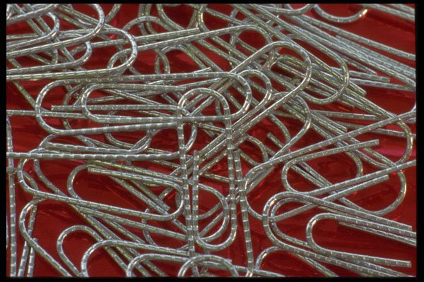 421027 Silver Paper Clips A4 Photo Print