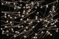 421031 Pearl headed Pins A4 Photo Print