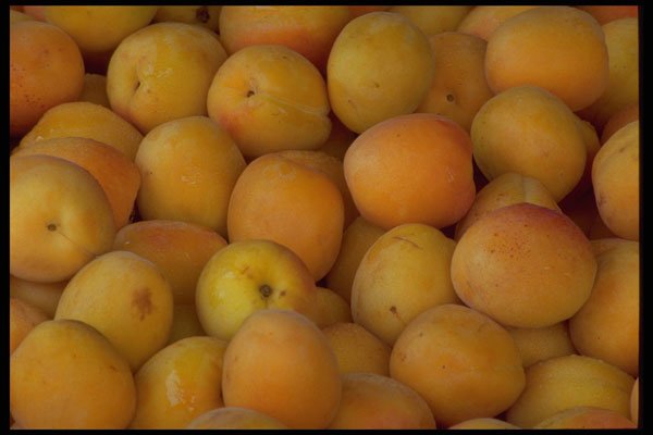 421039 Yellow Plums A4 Photo Print