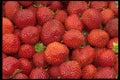 421051 Strawberries A4 Photo Print
