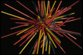 421058 Drinking Straws A4 Photo Print