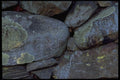 421060 Stone Wall A4 Photo Print