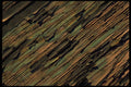421068 Peeling Paint A4 Photo Print