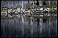 421073 River Reflections A4 Photo Print