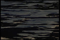 421079 Pools Of Water On Beach A4 Photo Print