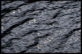 421093 Ripples On A Lake A4 Photo Print