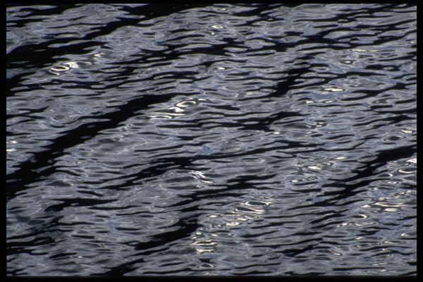 421093 Ripples On A Lake A4 Photo Print