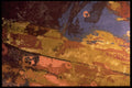 422003 Splendid A4 Photo Print