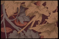 422027 Fall Colors A4 Photo Print