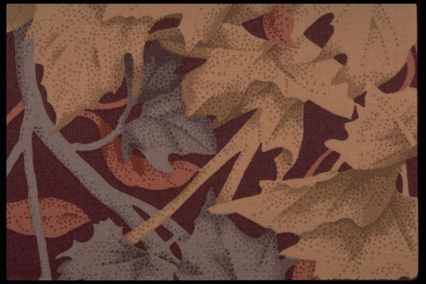 422027 Fall Colors A4 Photo Print