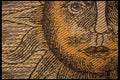 422028 Sunburst Weave A4 Photo Print