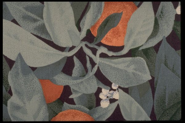 422036 Orange Fruit A4 Photo Print