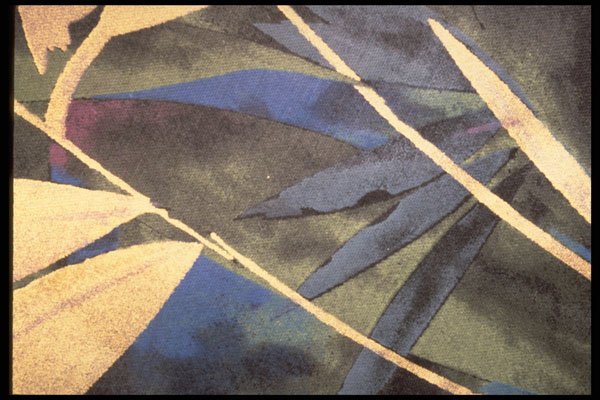 422046 Water Color A4 Photo Print