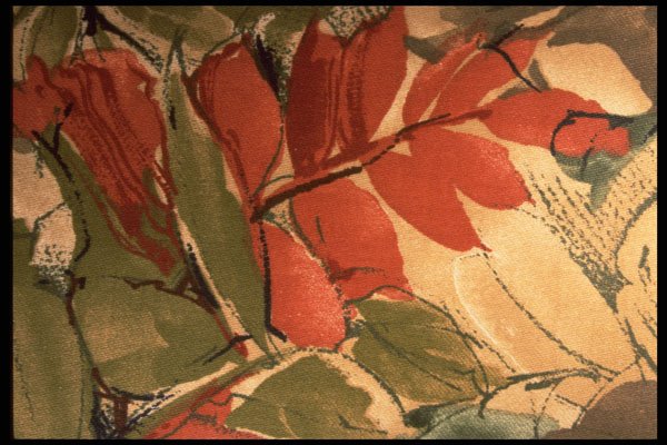 422065 Red And Green A4 Photo Print