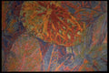 422085 Beautiful Leaves A4 Photo Print