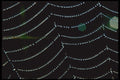 423005 Dew covered Spider Web A4 Photo Print