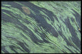423012 Detail Of The Surface Of An Old Log A4 Photo Print