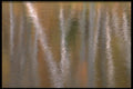 423018 Reflection Of Autumn Foliage In A Beaver Pond A4 Photo Print