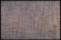 423021 Reeds In Evening Light A4 Photo Print