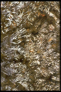 423024 Sunlight Reflecting Off The Surface Of A Stream A4 Photo Print