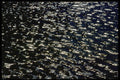 423026 Sunlight Reflecting Off The Surface Of A Pond A4 Photo Print