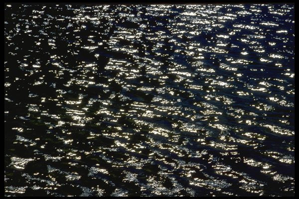 423026 Sunlight Reflecting Off The Surface Of A Pond A4 Photo Print
