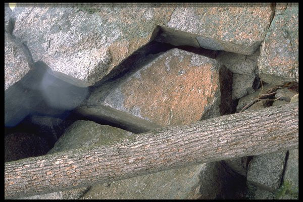 423080 Tree Trunk And Broken Granitic Rock A4 Photo Print