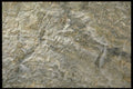 423085 Frost On A Granitic Boulder A4 Photo Print